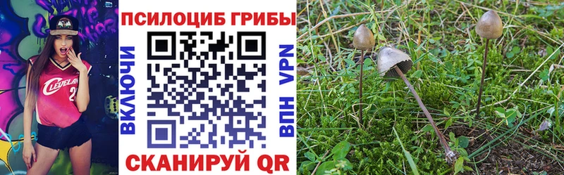 Галлюциногенные грибы Magic Shrooms  где найти   Верхняя Пышма 