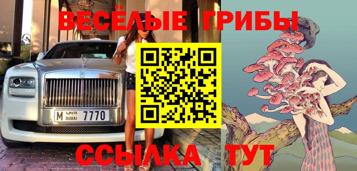 Псилоцибиновые грибы Psilocybe Верхняя Пышма