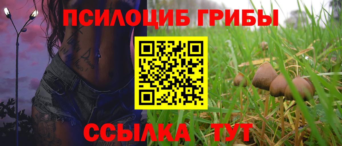 Верхняя Пышма  Галлюциногенные грибы MAGIC MUSHROOMS  Вход с VPN  Галлюциногенные грибы Cubensis 