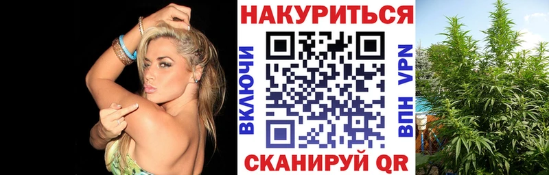 shop какой сайт  Верхняя Пышма  МАРИХУАНА SATIVA & INDICA 